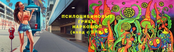 Альфа ПВП Аркадак